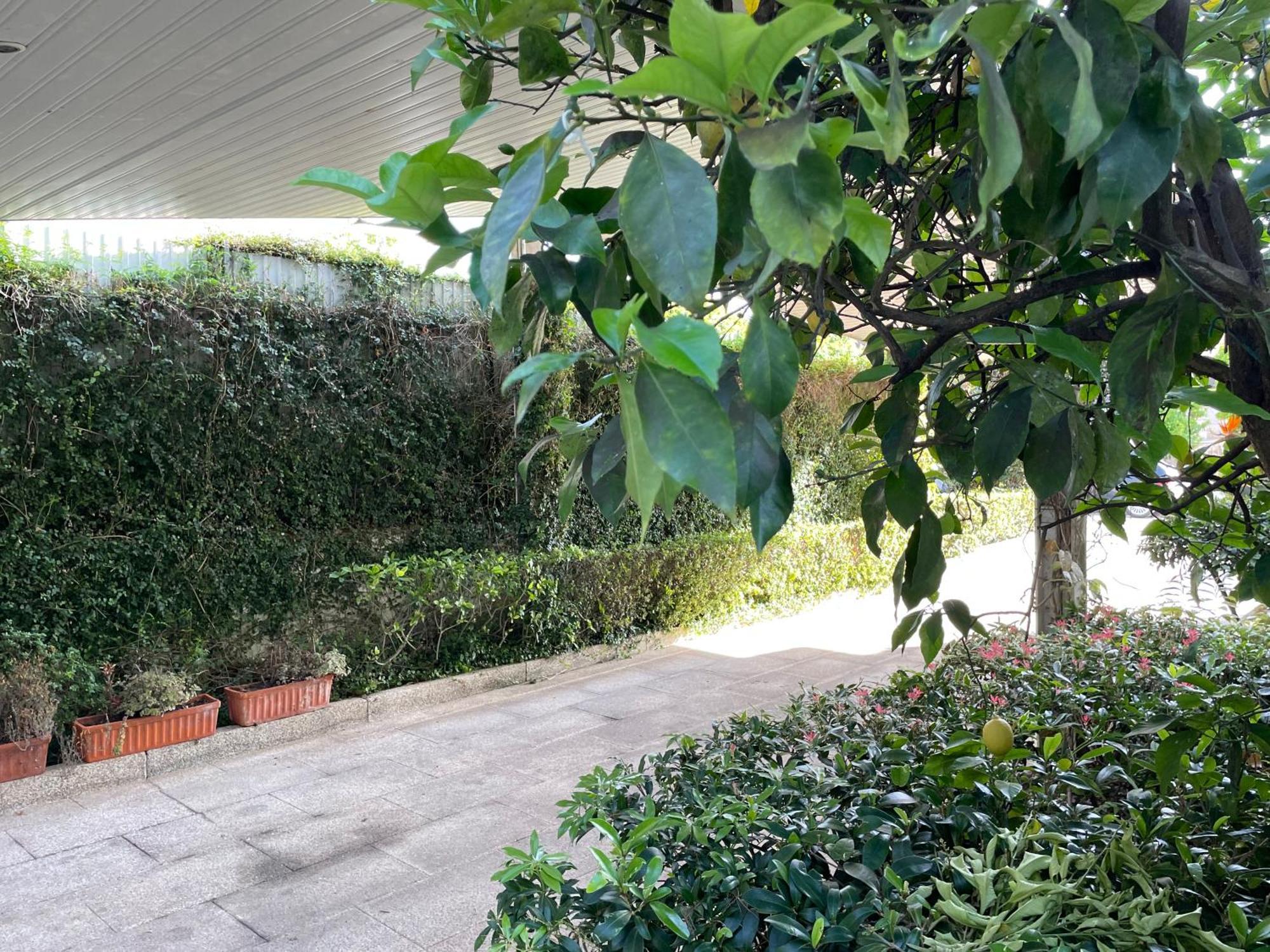 Casa Do Paco Villa กิมาไรส์ ภายนอก รูปภาพ